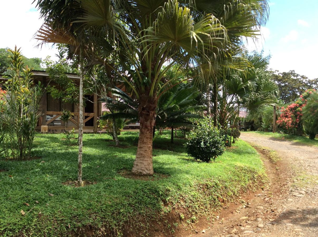 Hotel Pedacito De Cielo Boca Tapada Ngoại thất bức ảnh